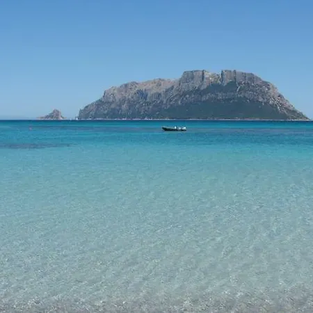 Rosa Dei Venti * Olbia